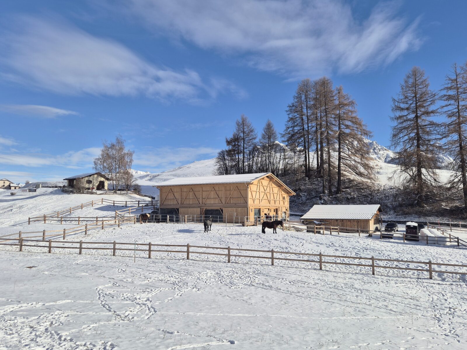 Neubau Geissen und Pferdestall